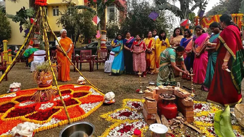 बहु-दिवसीय फसल उत्सव पोंगल का जश्न मनाना