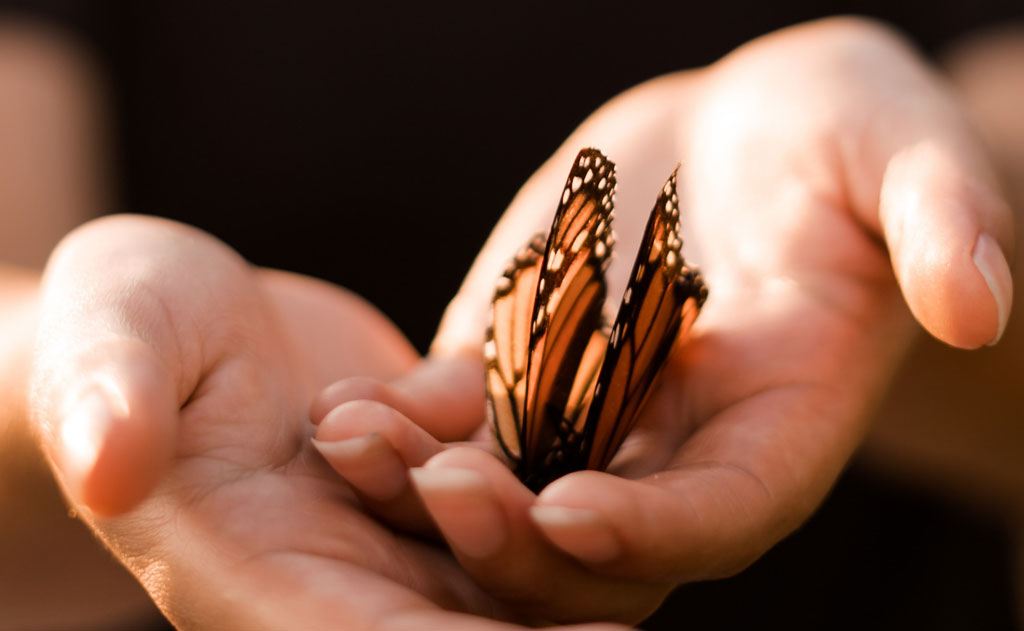 शाकाहार और अहिंसा में इस्कॉन का योगदान — Culture