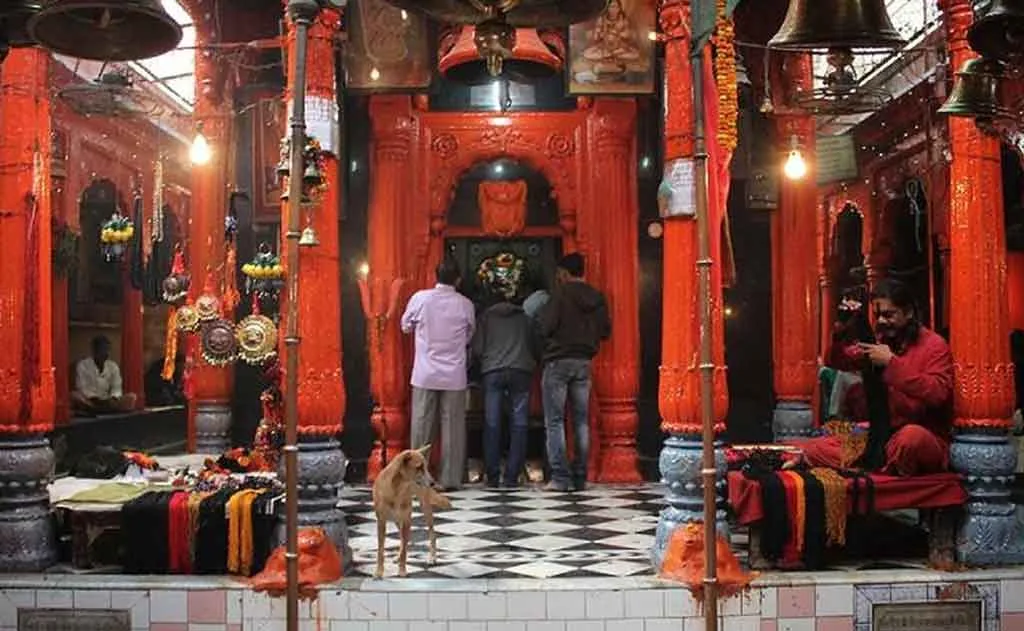 काशी विश्वनाथ — महा शिवरात्रि