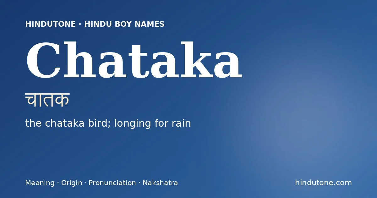 चातक — C